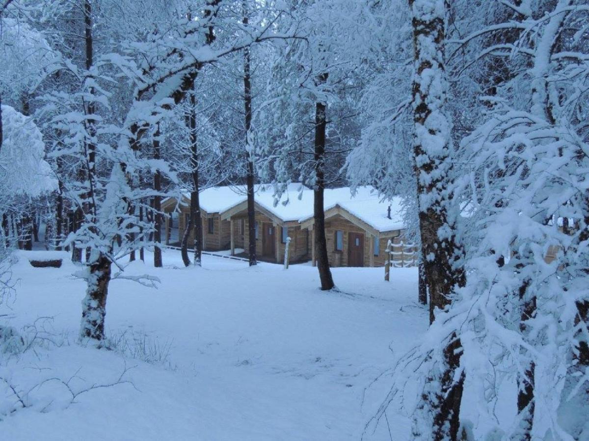צ'ידל Wyldwood Lodge מראה חיצוני תמונה
