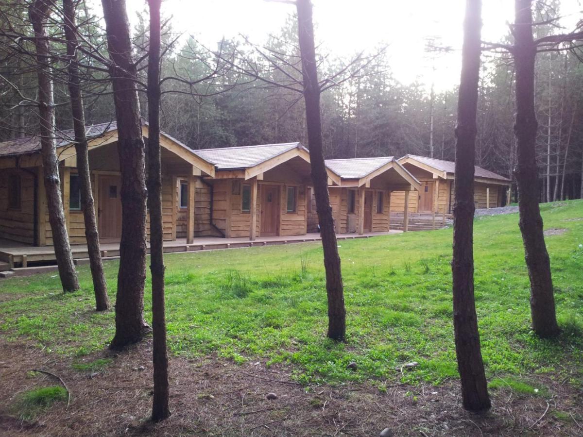 צ'ידל Wyldwood Lodge מראה חיצוני תמונה