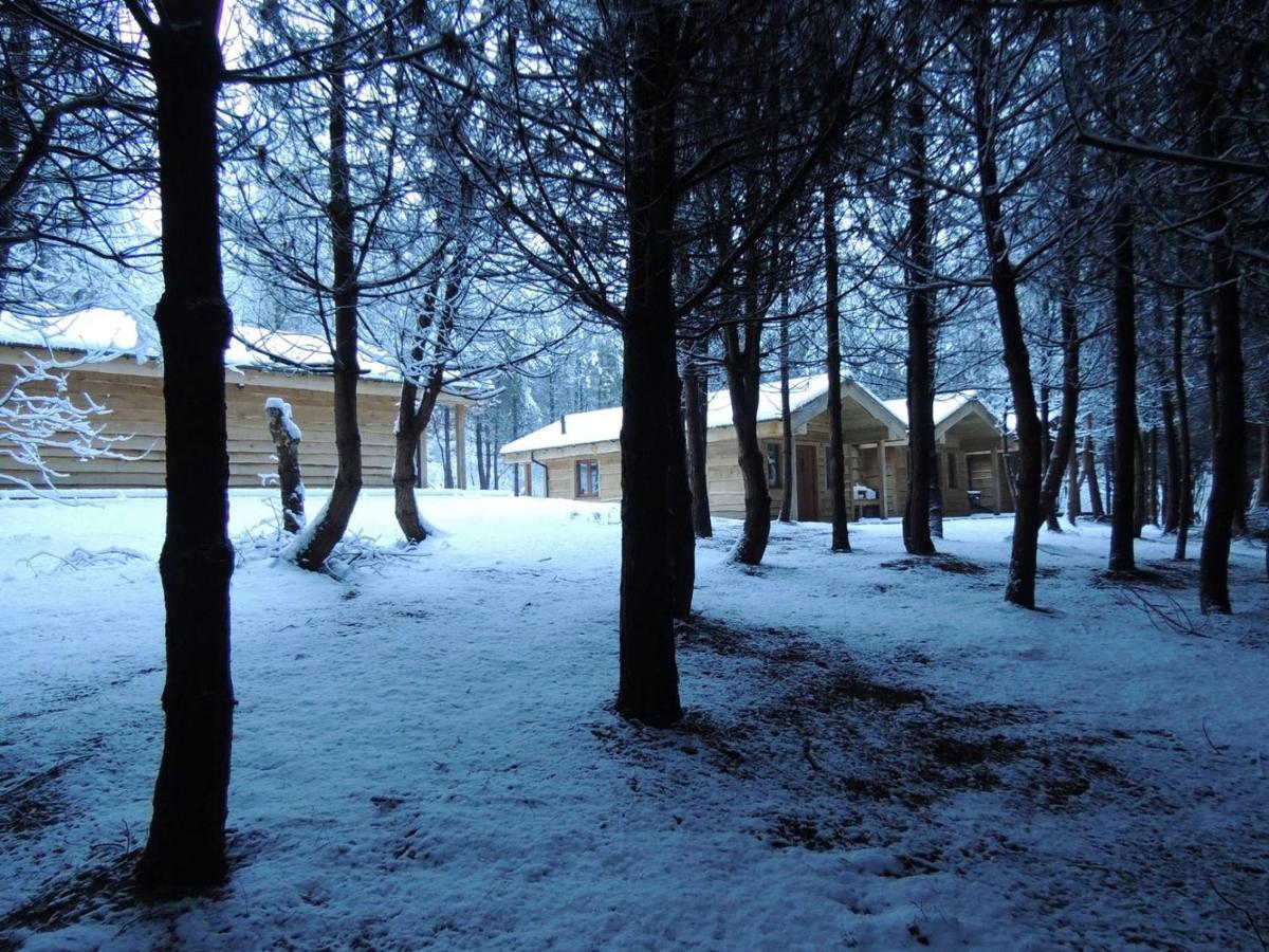 צ'ידל Wyldwood Lodge מראה חיצוני תמונה